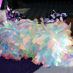 Cheerleader Pom Poms
